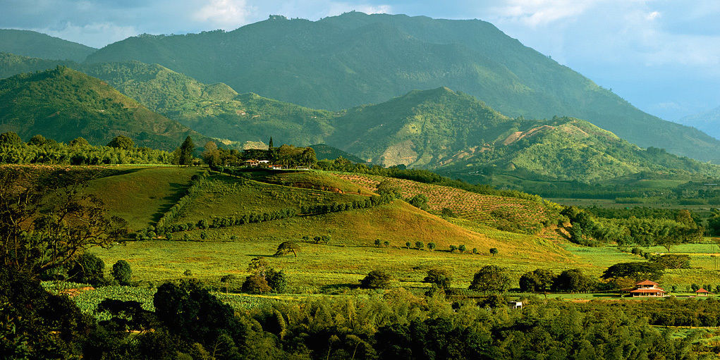 Hacienda Bambusa Hotel El Caimo ภายนอก รูปภาพ