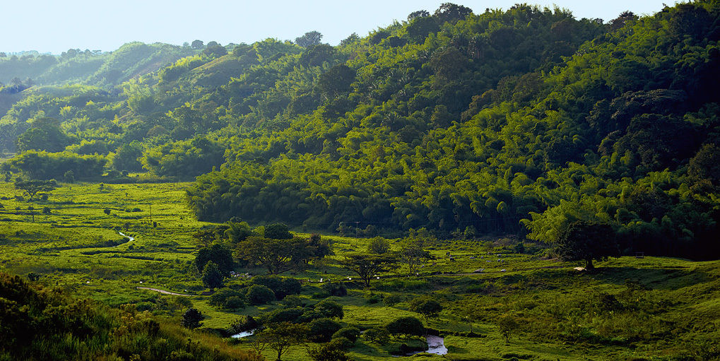 Hacienda Bambusa Hotel El Caimo ภายนอก รูปภาพ