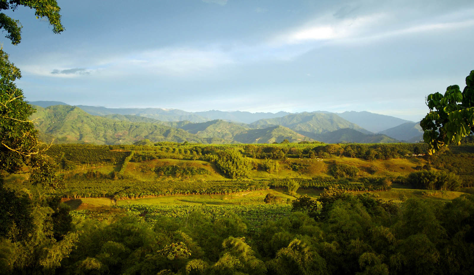 Hacienda Bambusa Hotel El Caimo ภายนอก รูปภาพ