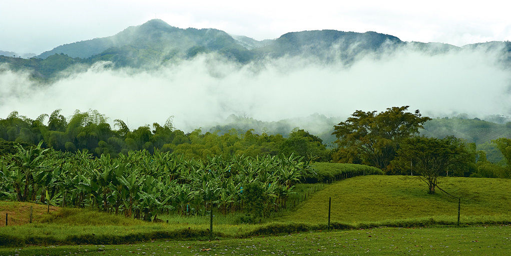 Hacienda Bambusa Hotel El Caimo ภายนอก รูปภาพ