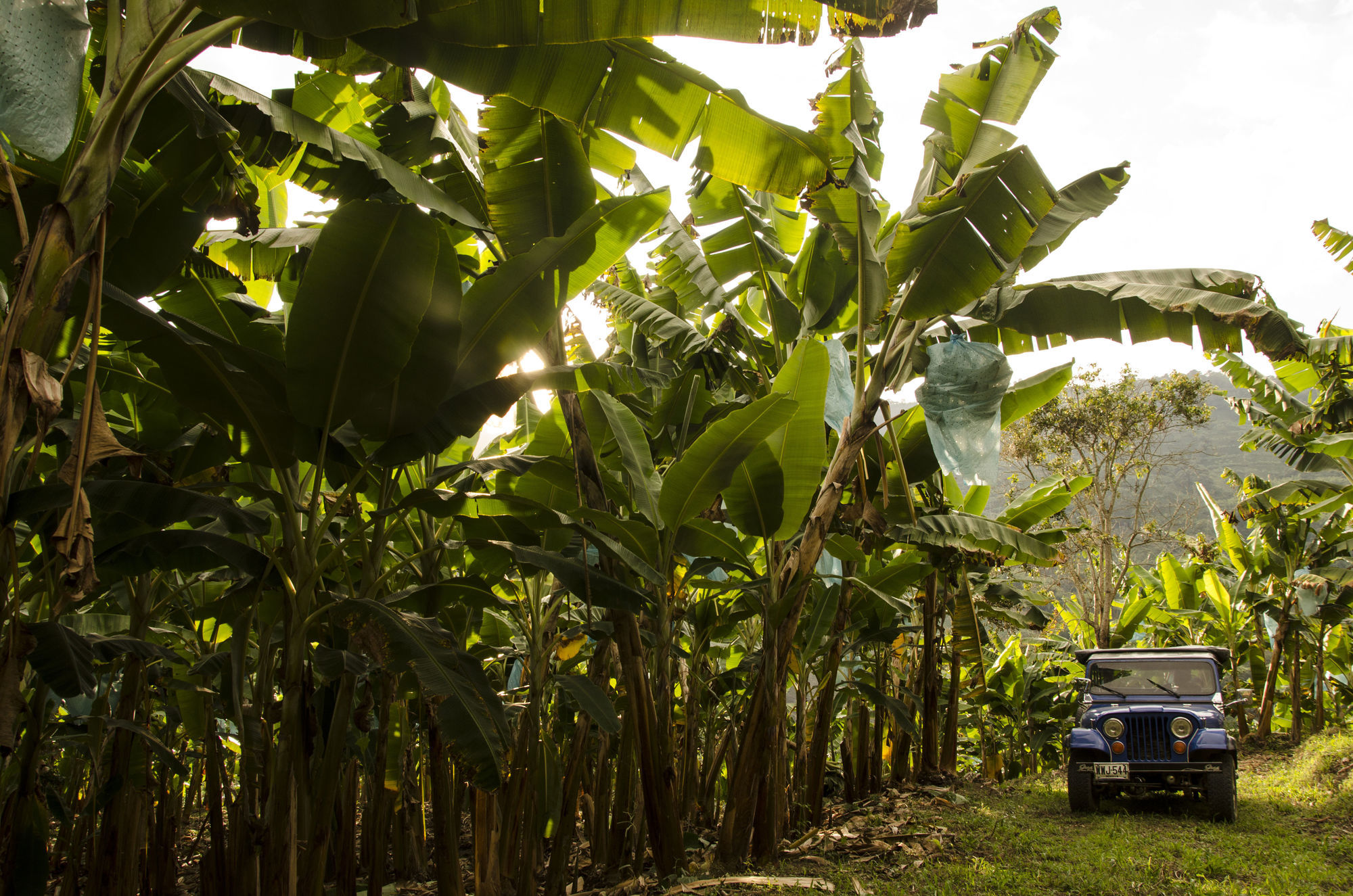 Hacienda Bambusa Hotel El Caimo สิ่งอำนวยความสะดวก รูปภาพ